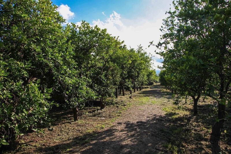 Agriturismo Galea Riposto Eksteriør billede