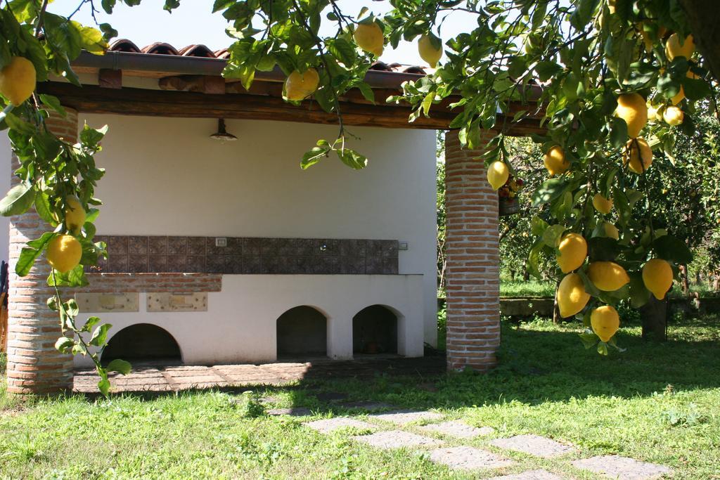 Agriturismo Galea Riposto Eksteriør billede